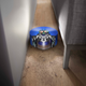 Imagen para el artículo titulado Dyson 360 Heurist, el robot aspirador más compacto tiene una bestia escondida que lo traga todo